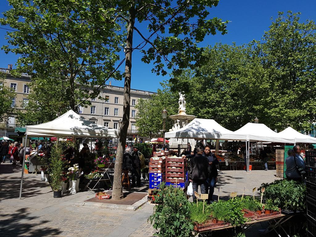 Penthouse Apartment Overlooking Place Carnot Carcassonne Eksteriør bilde